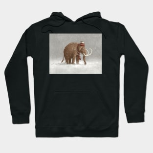 The Ice Age Sucked Hoodie